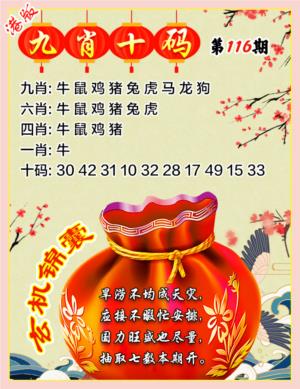 九肖十码