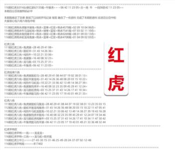 红虎综合资料