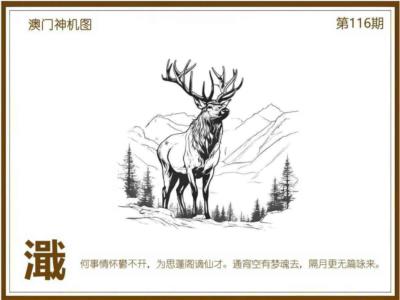 澳门神机图