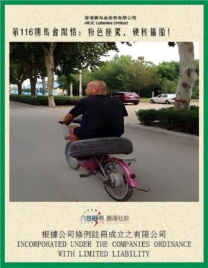马会闲情