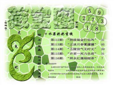 藏宝图(正版)