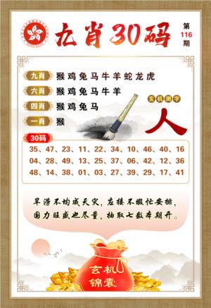 九肖30码