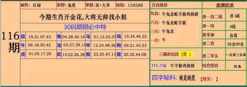 小鱼儿30码期期中