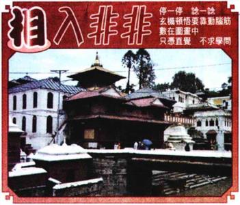 相入非非
