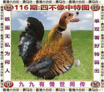 四不像中特图