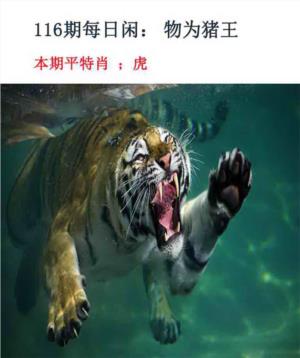 每日闲情