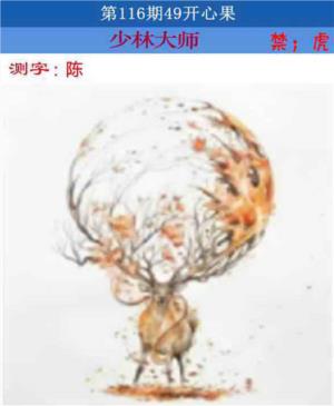 四九开心果