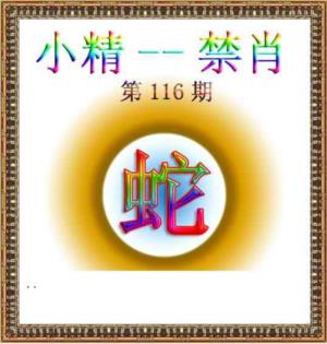 小精禁肖
