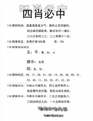 四肖中特(新)
