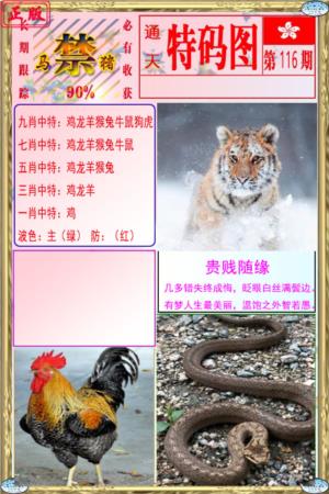 特码图