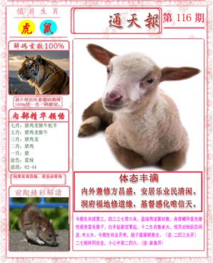 马经通天报
