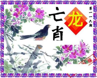 神鸟版