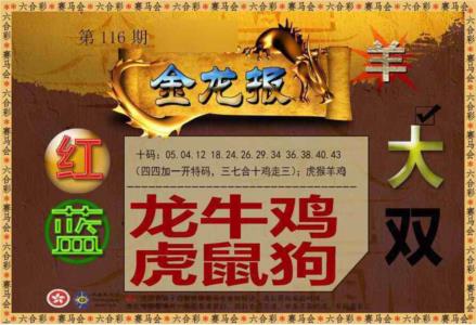 金龙报