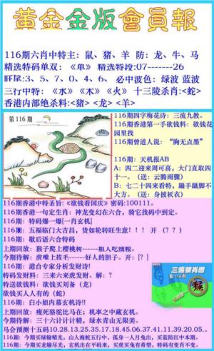 黄金金版会员报