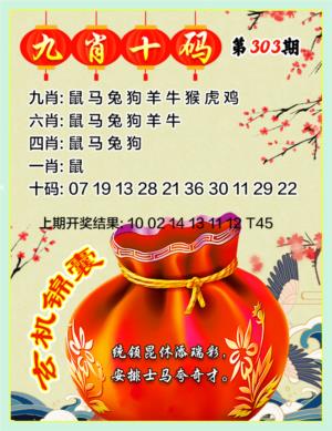 九肖十码