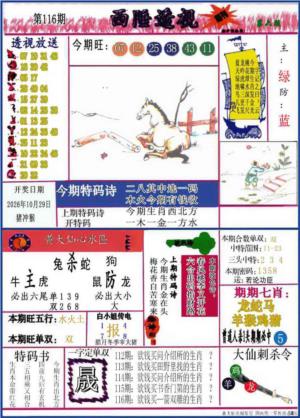 西陲透视(正版)