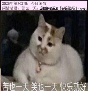 今日闲情