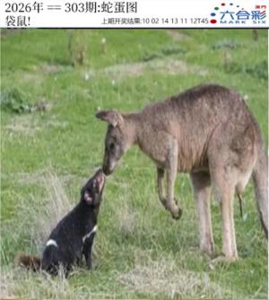 正版蛇蛋图