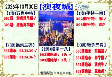 澳门夜城