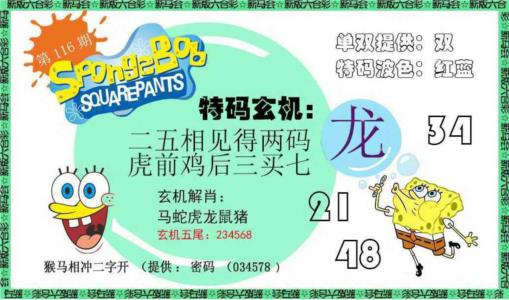 新特码玄机