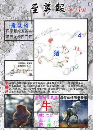 至尊报
