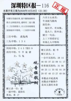 深圳特区报A