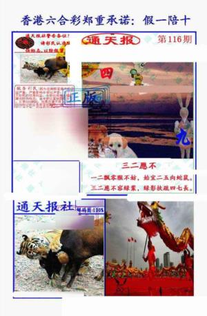 假一陪十通天报