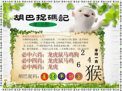 胡巴抓码记