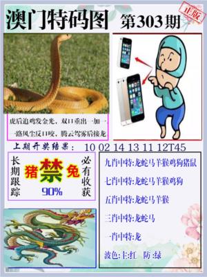 特码图