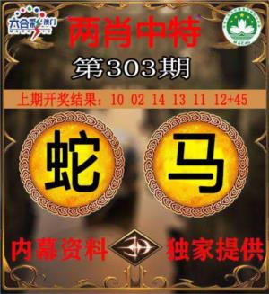 两肖中特