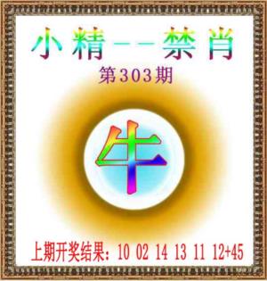 小精禁肖