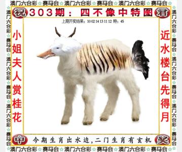 四不像中特图