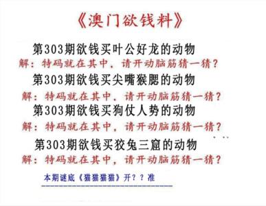 澳门欲钱料