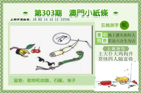 澳门小纸条