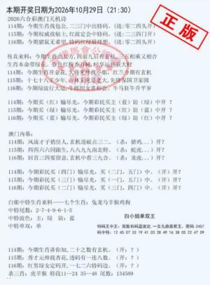 深圳特区报B