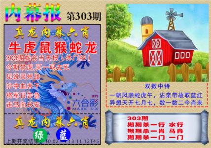 真龙内幕报