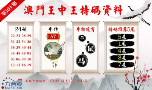 王中王特码料