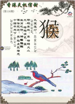天机信封