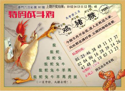 特码战斗机