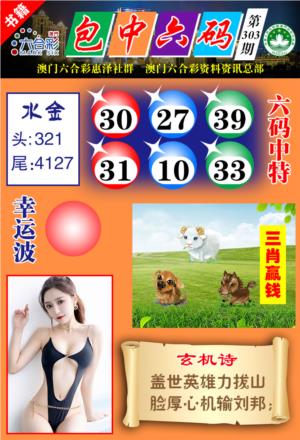 澳门包中六码