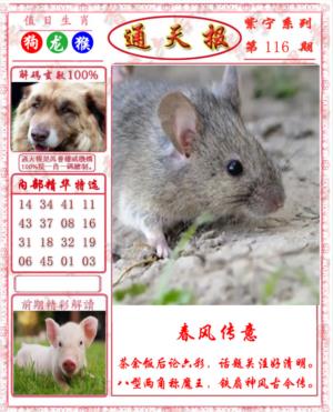 救通报