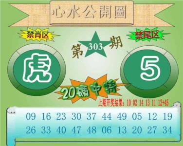 心水公开图