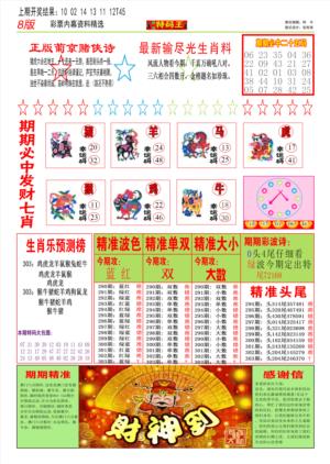特码王B