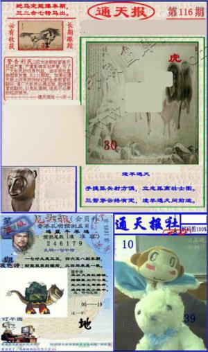 实力通天报