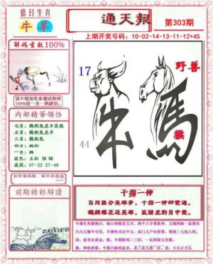 小喜通天报