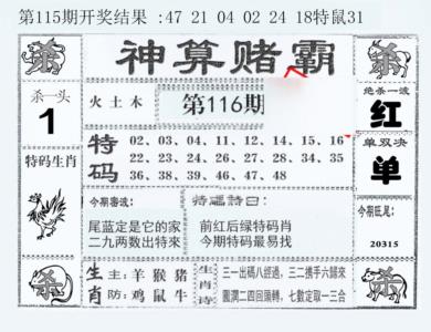神算赌霸