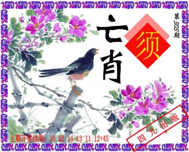 神鸟版