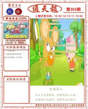 正版通天报