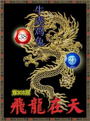飞龙在天