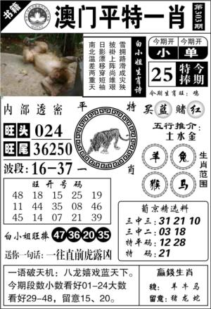 澳门内部透密